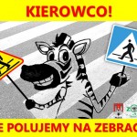 Kierowco! Nie polujemy na zebrach!