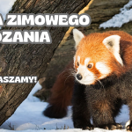 Zapraszamy na Trasę Zimowego Zwiedzania!